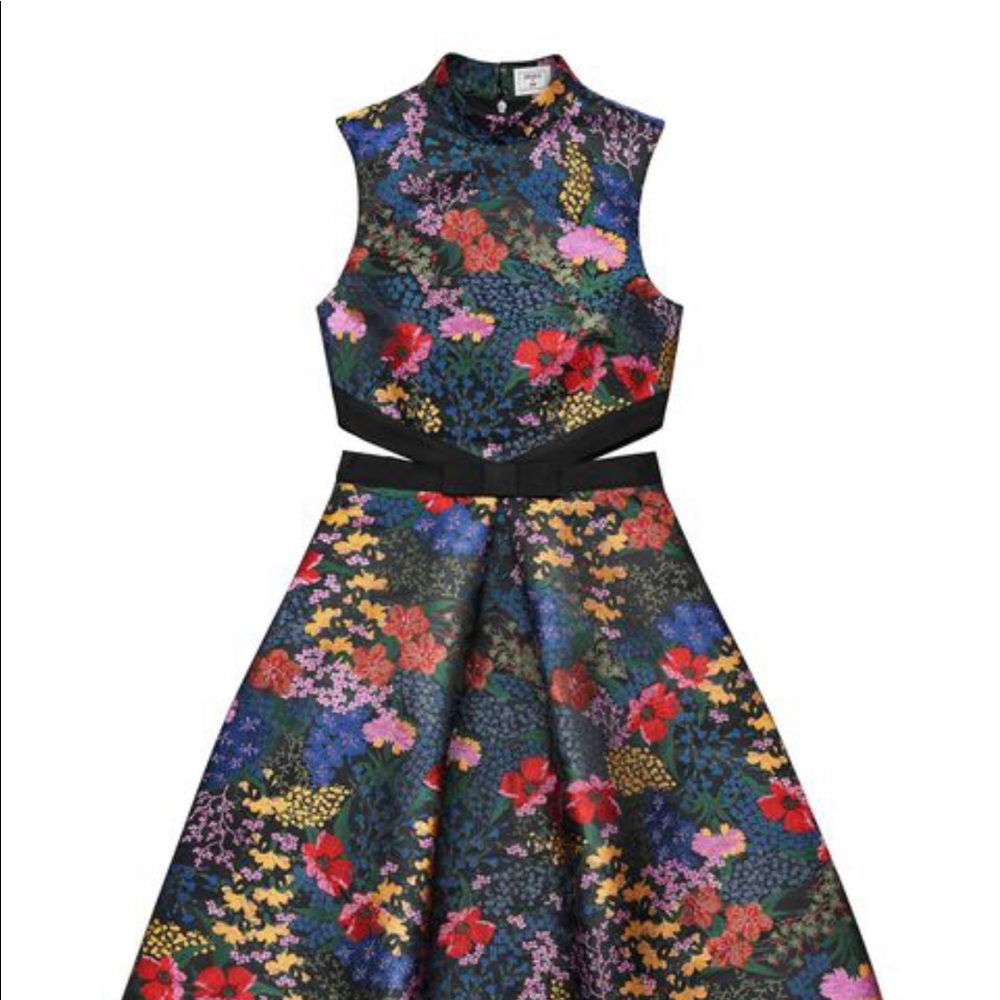 ERDEM X H&M floral cut out dress